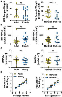 Multi-Parameter Analysis of Biobanked Human Bone Marrow Stromal Cells Shows Little Influence for Donor Age and Mild Comorbidities on Phenotypic and Functional Properties